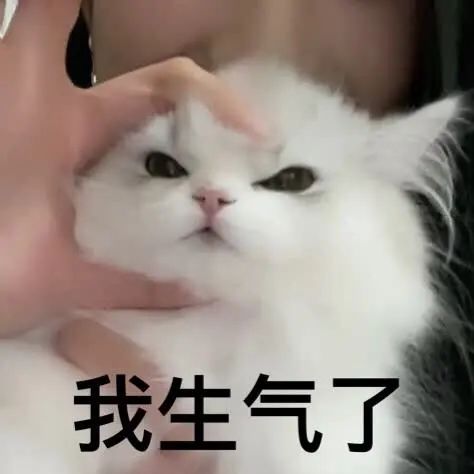DƬ
